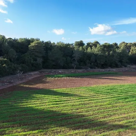 Casa vacanze Maison Du Salento *